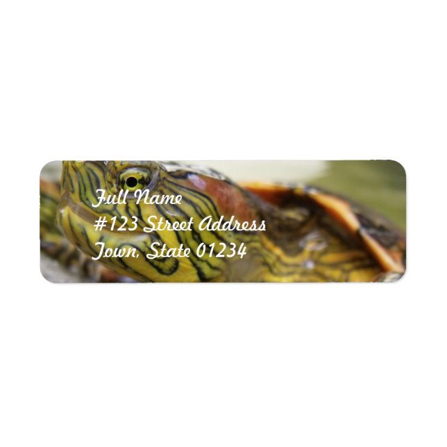 Turtle Identification Mailing Label Return Address Label (Front)