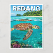 Turtle in Redang Malaysia