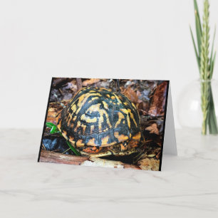 Turtle in the Forest, Chester, South Carolina Card