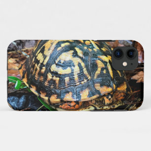 Turtle in the Forest, Chester, South Carolina Post iPhone 11 Case