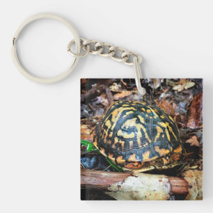 Turtle in the Forest, Chester, South Carolina Post Key Ring