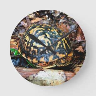 Turtle in the Forest, Chester, South Carolina Post Round Clock