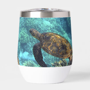 turtle in the sea