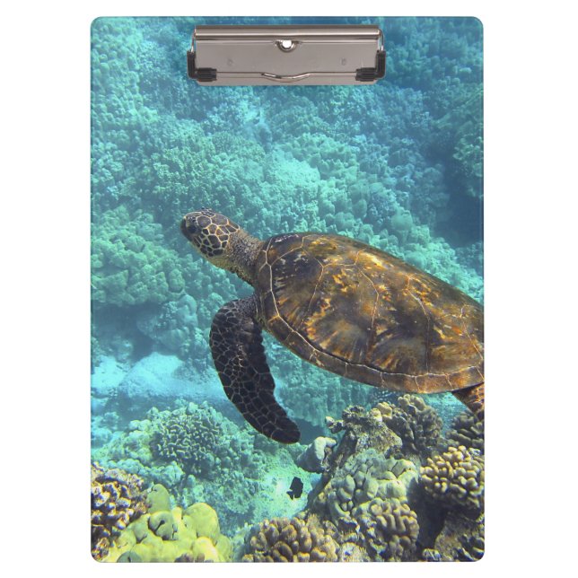 turtle in the sea clipboard (Front)