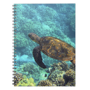 turtle in the sea notebook