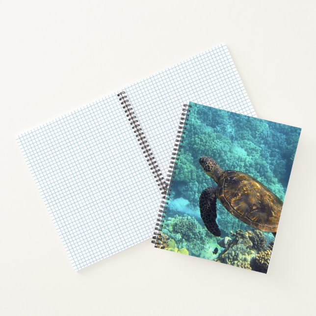 turtle in the sea notebook (Inside)
