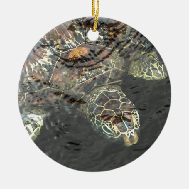 Turtle in Water Ceramic Ornament (Front)