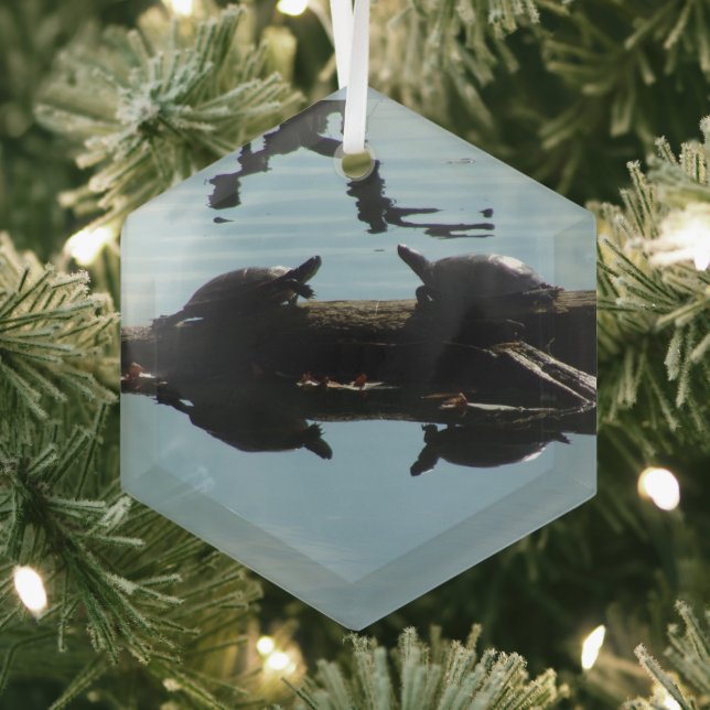 Turtle Interaction Ornament (Insitu)