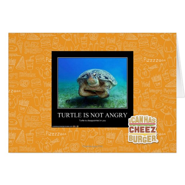 Turtle Is Not Angry (Front Horizontal)