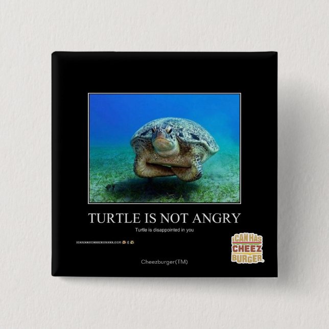 Turtle Is Not Angry 15 Cm Square Badge (Front)