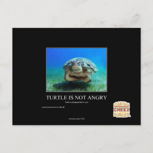 Turtle Is Not Angry Postcard