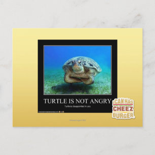 Turtle Is Not Angry Postcard
