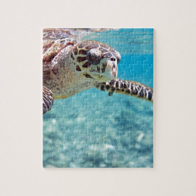 Turtle Jigsaw Puzzle (Vertical)