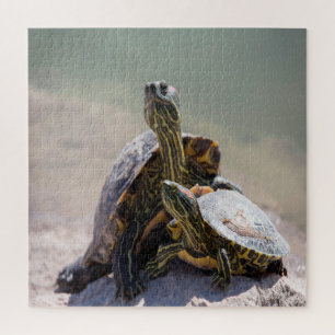 Turtle Love Jigsaw Puzzle