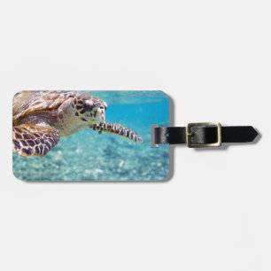 Turtle Luggage Tag