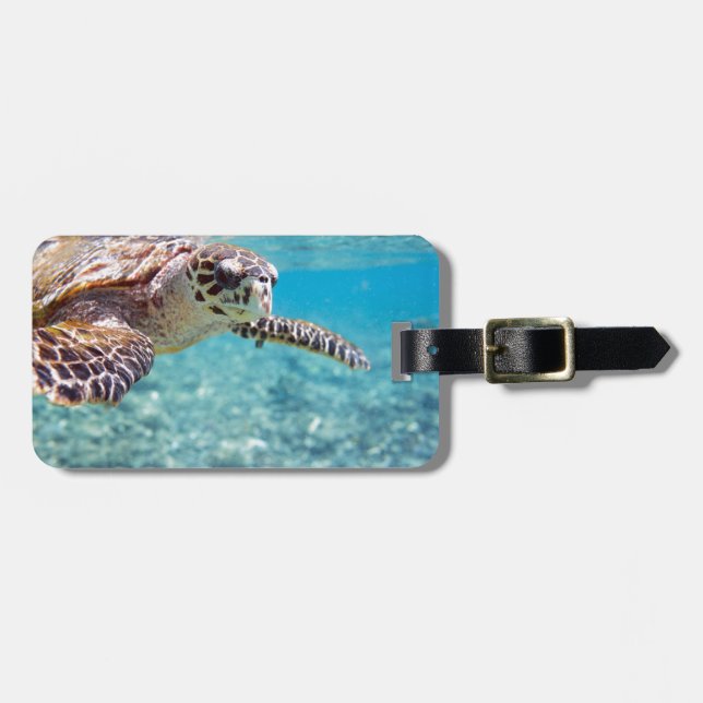 Turtle Luggage Tag (Front Horizontal)