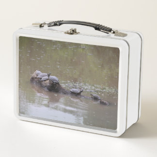 Turtle Lunch Box