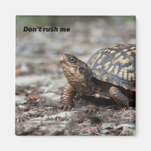 Turtle Magnet