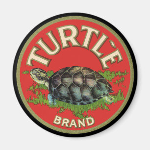 Turtle Magnet