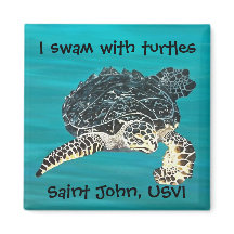 Turtle magnet