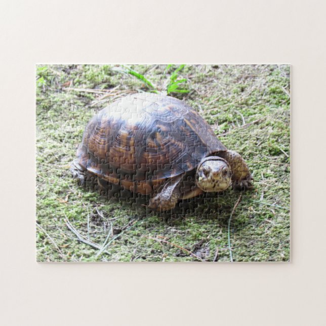 Turtle - Mossy Path Jigsaw Puzzle (Horizontal)