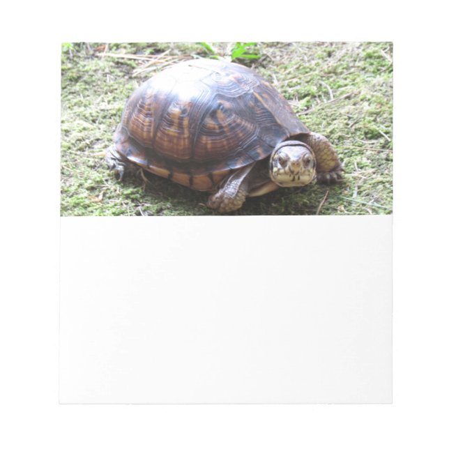 Turtle - Mossy Path Notepad (Front)