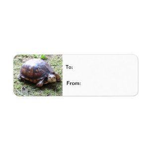 Turtle - Mossy Path Return Address Label