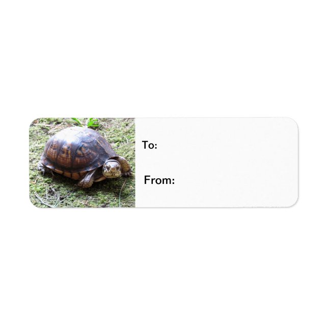 Turtle - Mossy Path Return Address Label (Front)