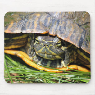 Turtle Mouse Pad