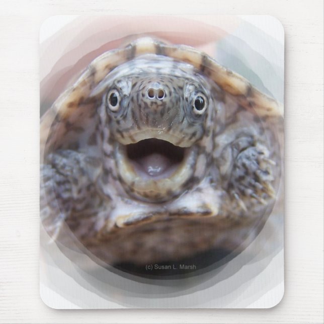 Turtle mouth open round frame Mad Musk turtle Mouse Pad (Front)