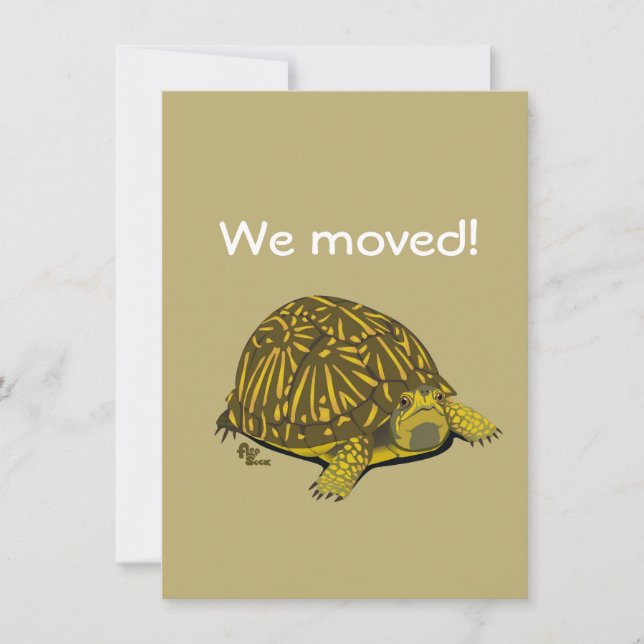 Turtle Moving Announcement (Front)