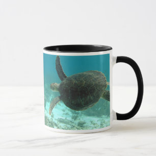 Turtle Mug