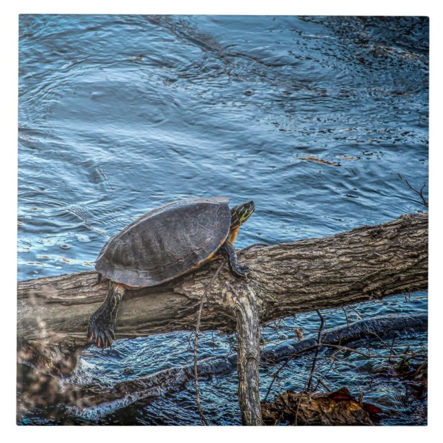 Turtle On A Log Tile (Front)