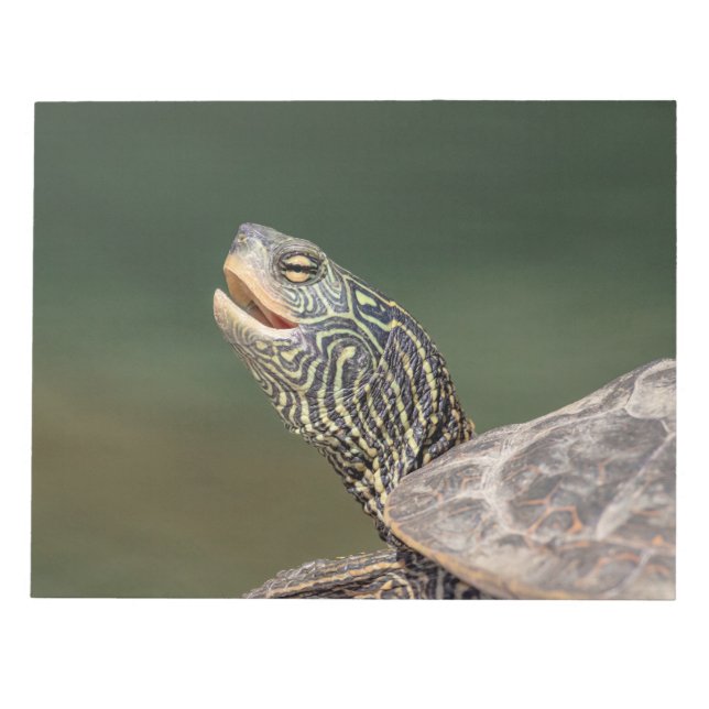 Turtle on LaChute River Notepad (Front)