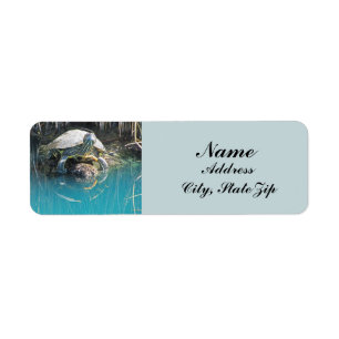 Turtle on Rock Water Reflection Photo Nature Return Address Label