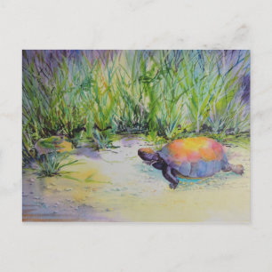 Turtle on the Beach Postcard