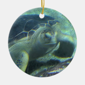 Turtle Ornament