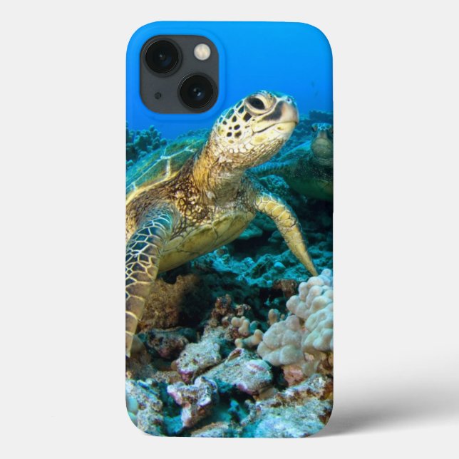 Turtle Pair Case-Mate iPhone Case (Back)
