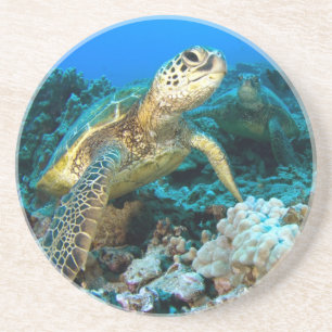 Turtle Pair Coaster