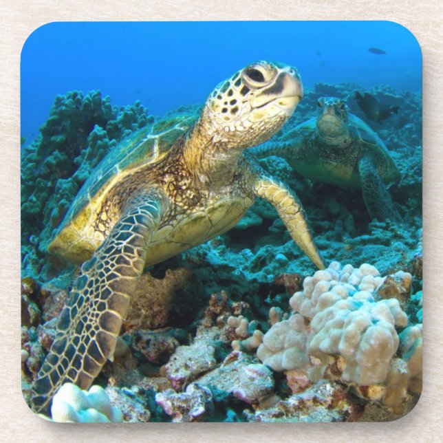 Turtle Pair Coaster (Front)