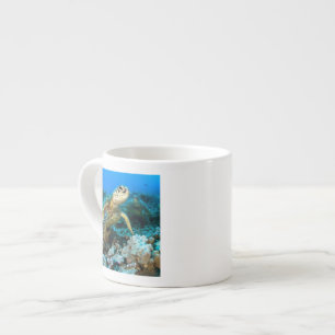 Turtle Pair Espresso Cup