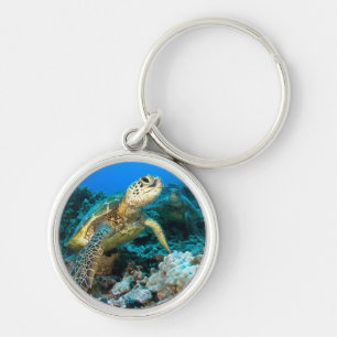 Turtle Pair Key Ring