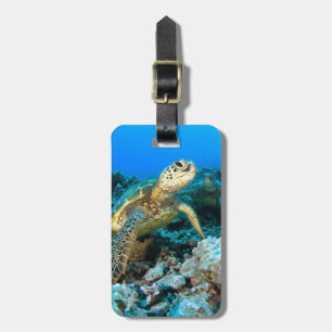 Turtle Pair Luggage Tag