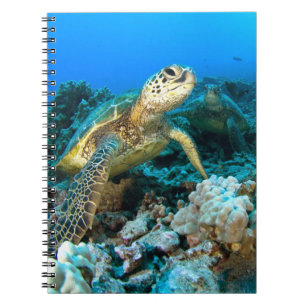 Turtle Pair Notebook