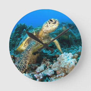 Turtle Pair Round Clock