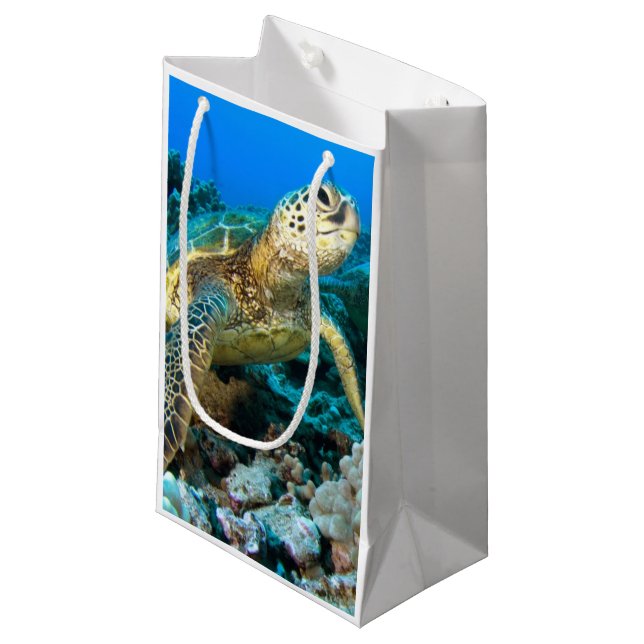 Turtle Pair Small Gift Bag (Front Angled)