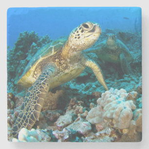 Turtle Pair Stone Coaster