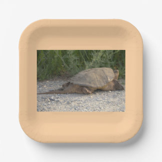 Turtle Paper Plates