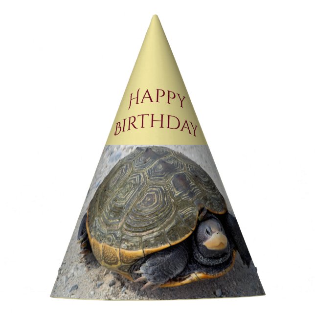 Turtle Photo Party Hat (Front)
