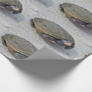 Turtle Photo Wrapping Paper